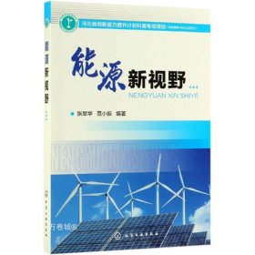 正版现货 能源新视野 张翠华 范小振 著 网络书店 正版图书