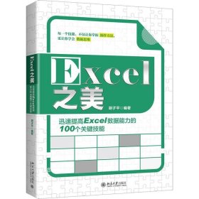 正版现货 Excel之美：迅速提高Excel数据能力的100个关键技能