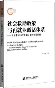 正版现货 社会救助政策与再就业激活体系：基于中国15省份38县市的抽样数据