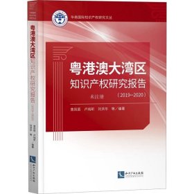 正版现货 粤港澳大湾区知识产权研究报告（2019-2020）