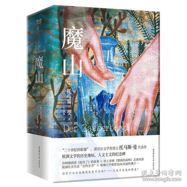 魔山：全二册（“二十世纪的歌德”，诺贝尔文学奖得主托马斯·曼代表作，欧洲文学的历史地标，哈佛大学推荐50本应读经典之一。）