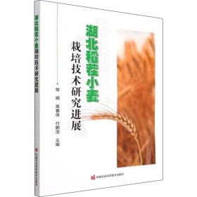 正版现货 湖北稻茬小麦栽培技术研究进展