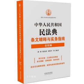 正版现货 中华人民共和国民法典条文精释与实务指南：总则编