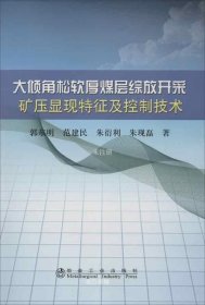 正版现货 大倾角松软厚煤层综放开采矿压显现特征及控制技术