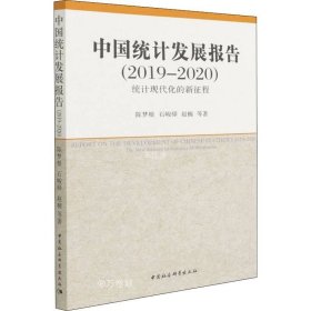 正版现货 中国统计发展报告（2019-2020）——统计现代化的新征程