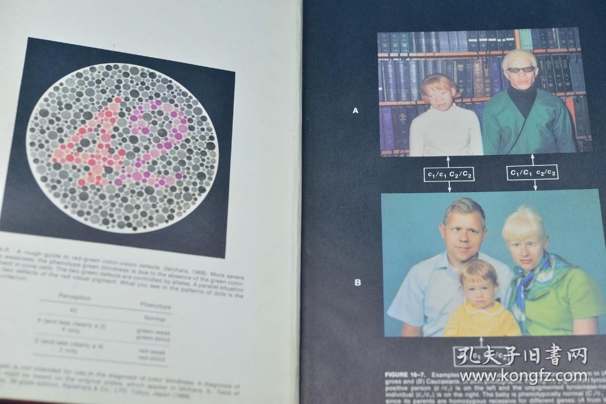 【图】GENETICS: HUMAN ASPECTS 人类遗传学 英语原版 大16开精装675页 内页干净 重2.1公斤,拍品信息,网上拍卖 ...