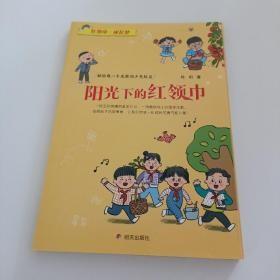 阳光下的红领巾—红领巾 成长梦