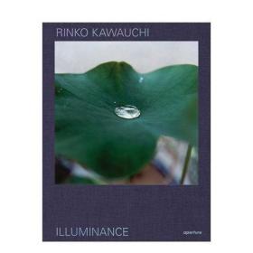 川内伦子摄影集 照度十周年纪念版 正版进口摄影书Rinko Kawauchi:Illuminance复刻重印收藏版 明度 英文原版