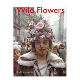 Joel Meyerowitz：Wild Flowers 摄影师乔尔·迈耶罗维茨 精装进口英文原版摄影集画册 摄影作品集
