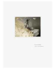 Laura Letinsky - Time's Assignation 劳拉·莱廷斯基