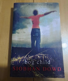 Bog Child  SIOBHAN DOWD 英文版 库存特价英文书