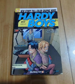 Hardy Boys #17: Word Up! (Hardy Boys Graphic Novels, 17) 哈迪男孩#17：加油?。℉ardy Boys平面小說，17） 英文版  平裝  庫存舊書