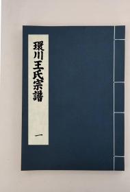 環川王氏宗譜十四卷,全25冊,民國三十四年（1945）,（民國)王起鐘等,活字本,,中國