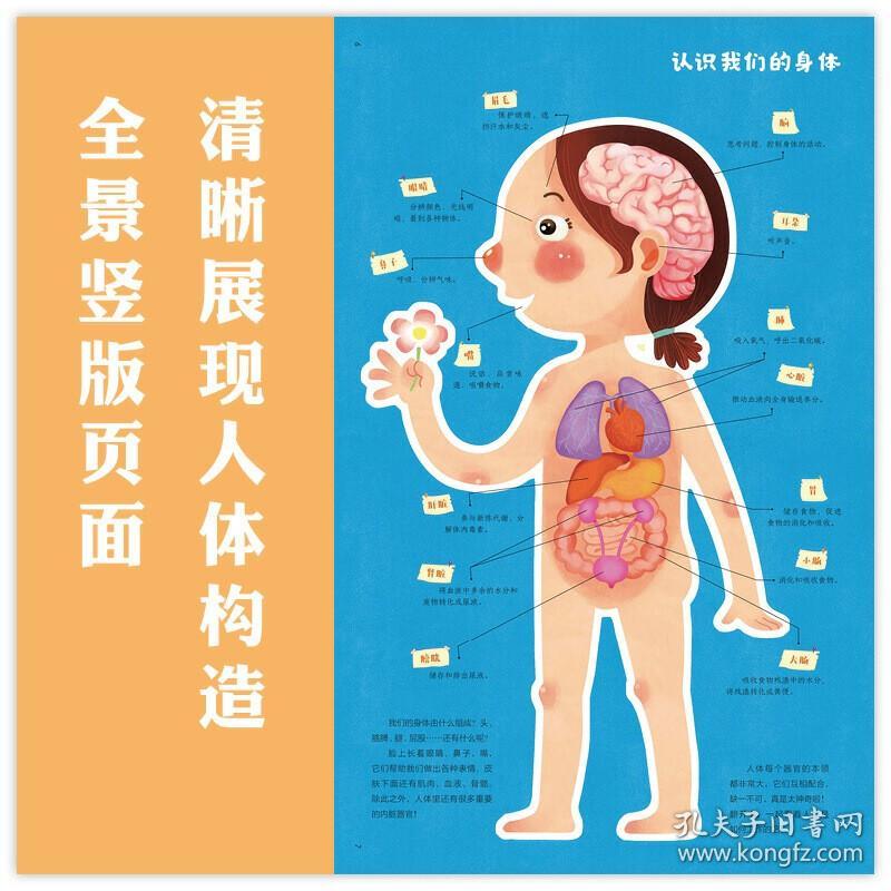 身体 认识我自己 告诉孩子男孩和女孩的区别 幼儿性别认知科普绘本