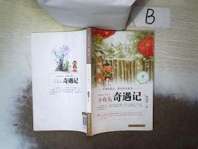 中国当代儿童文学童话十家：小布头奇遇记