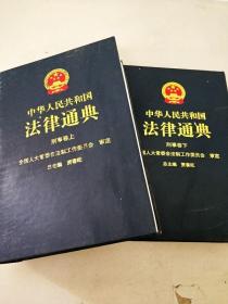 DI2132551 中华人民共和国法律通典·刑事卷【上、下册】【一版一印】