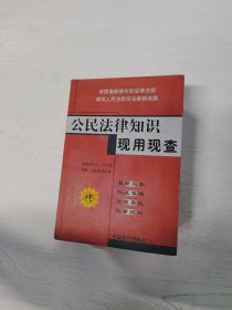 YA4019745 公民法律知识现用现查 （一版一印）【有瑕疵 书边有污渍】