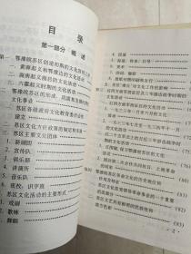 六安大别山地区《鄂豫皖苏区革命文化史略》苏区戏剧歌舞诗词美术宣传等，张南一，罗银青，刘白驹，吴靖宇，胡鹤仙等名人！