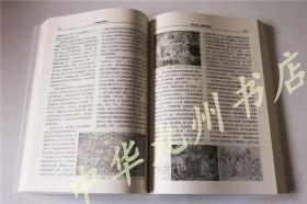 全新 正版 普通高等-中国美术史教程、西方美术史教程  陕西人民美术出版社