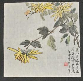 著名书画家、杨炯、手绘原创、花鸟画真迹、菊花、软件、画心尺寸：34*34厘米