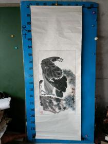 鹰