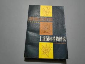 上海园林植物图说