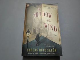英文版：The Shadow of the Wind 风之影