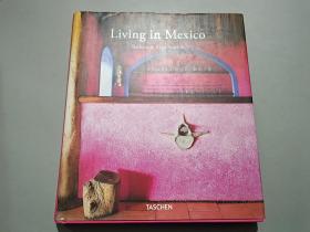 英文版：Living in Mexico 墨西哥家居装饰艺术