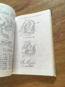腹部外科手术技巧（货号d235)