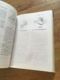 腹部外科手术技巧（货号d235)