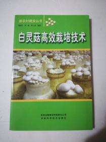白灵菇高效栽培技术