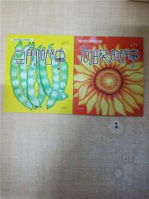 儿童食育系列之植物绘本【1+2：向日葵的故事+豆角的故事 两本合售】