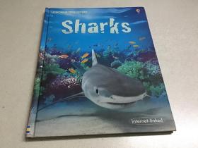 英文绘本Sharks Usborne Discovery