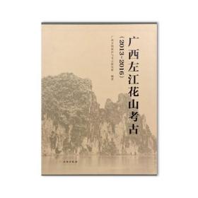 广西左江花山考古（16开精装 全三册）