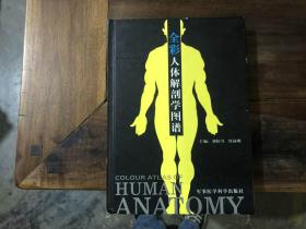 全彩人体解剖学图谱
