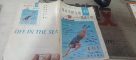 儿童科普丛书15海水中的生命一海洋生物