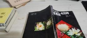家庭養花400問
