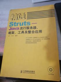 精通Struts-Java流行服务器.框架.工具及整合应用