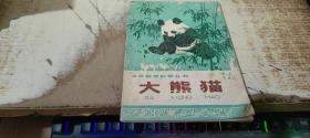 大熊猫