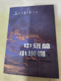 蓝天文艺系列丛书 中短篇小说卷 下（1985-1990）