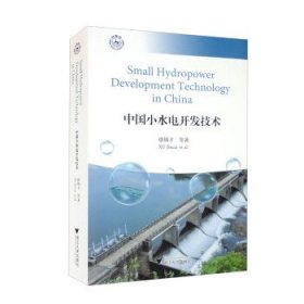 中国小水电开发技术