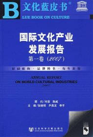 2007国际文化产业发展报告
