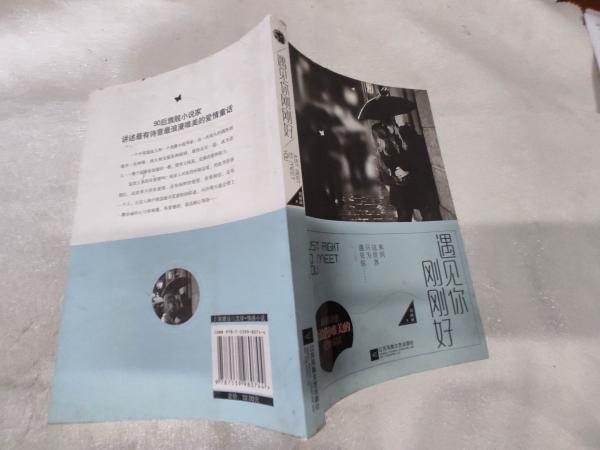 04九五品书友kw1100149江苏省宿迁市靖琪小驿刘丽丽/ 江苏文艺出版社