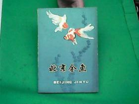 北京金鱼