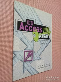 中文Access 2000实用教程