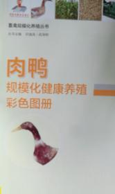 肉鸭规模化健康养殖彩色图册