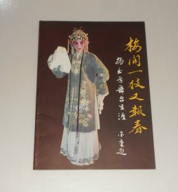 杨至芳舞台生涯(画册) 2002年