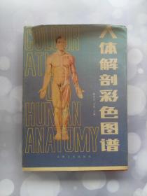 人体解剖彩色图谱