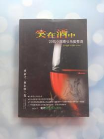 笑在酒中 29瓶中国最快乐葡萄酒