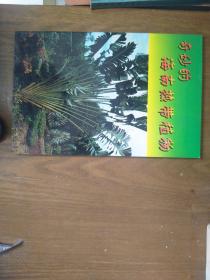 《奇妙的海南热带植物》图文本